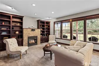 Cozy propane fireplace - great for movie night!