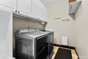 Full-sized washer/dryer stay; and yes, there's a dog door there as well that goes into the gated garage space.