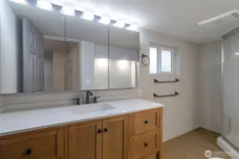 Fully remodeled bathroom on main floor with standing shower and 3 piece med cabinet mirrors