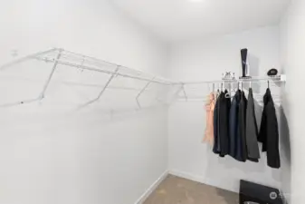 Large walk in closet (more spacious in person)
