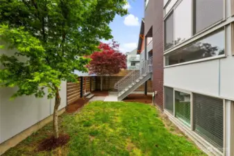 Low maintenance, fully fenced back yard provides access to the kitchen via the back porch stairs on the right or the garage and DADU from the gate on the left.