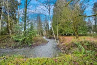 Creek on the property