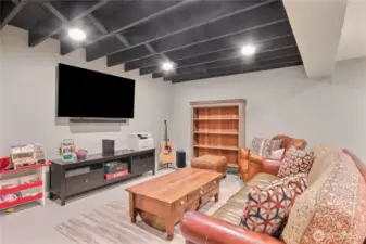 Family room in basement.