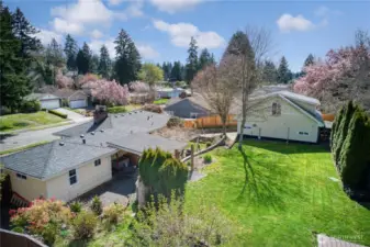 Ariel view of backyard.