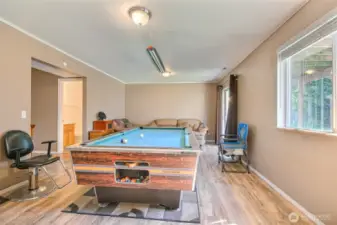 Lower Family Room