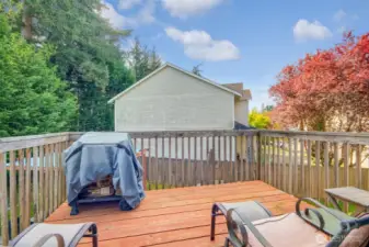 Upper Deck off Kitchen
