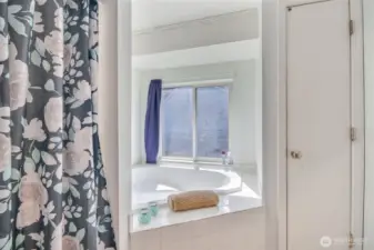 Master bathroom shower and soaking tub