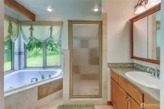 Primary bathroom with large jetted soaking tub and tiled shower.