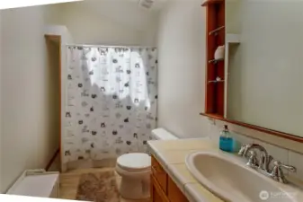 Main hallway bathroom upstairs.