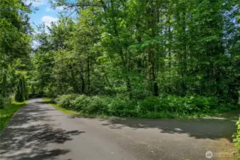 View of second driveway entrance. Driveway is on the right.