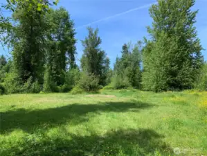 Photo is of the additional 5-acre parcel included with the sale.