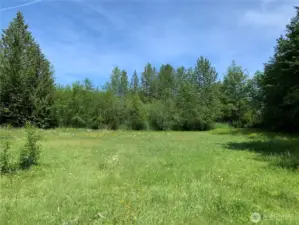 Photo is of the additional 5-acre parcel included with the sale. Access to this lot is from the cul-de-sac, which is off to the right in the photo.