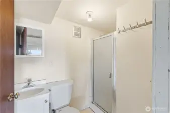 Lower Level Bathroom
