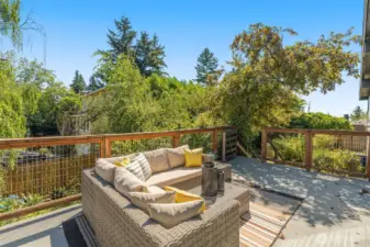 Amazing deck off the living room