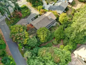 The lush surroundings on this property.
