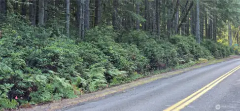 Northwest corner of the property on Westside Hwy (Note small flag in left hand corner of the picture and look at the sign in the right corner where SW 204th Street is the other corner). The lot is 300 feet wide x 300 feet deep (perfect square that is 2.07 acres). Gorgeous fully wooded lot that provides privacy and natural beauty.