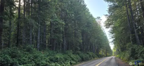 The lot is 300 feet wide x 300 feet deep (perfect square that is 2.07 acres).  Gorgeous fully wooded lot that provides privacy and natural beauty.