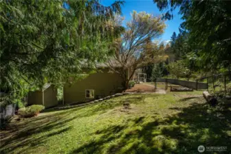 Private outdoor oasis surrounded by evergreens.