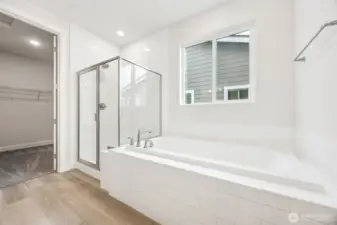 Deluxe Primary tub and shower with bench