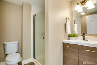 A walk-in shower with glass door, a newer vanity, and refreshed lighting completes the lower-level space.