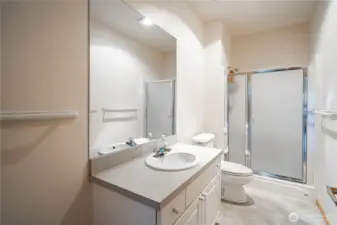 Lower level bathroom
