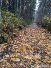 The Preserve maintains a network of private trails, and this is one of them. Beautiful in every season, they’re especially breathtaking in the fall when the leaves turn. Perfect for peaceful solo jaunts or sharing with neighbors and four-legged friends.