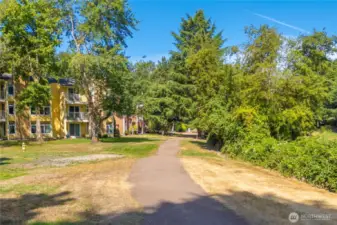 Looking North on trail.