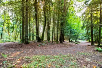 Your Natural Land
