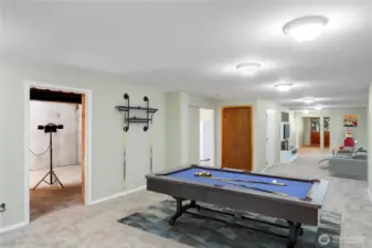 Spacious room ideal for a game, media, or video game room, conveniently next to the lower kitchen, with an adjacent unfinished space perfect for dry storage or a wine cellar.