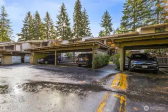 Covered 1 parking space