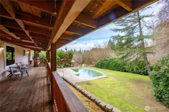 Backyard with Pool.  Imagine the fun in the sun!