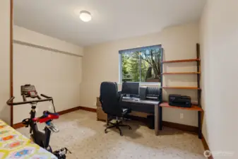 Lower level bedroom / office