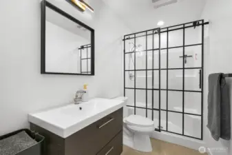 Lower level 3/4 bathroom