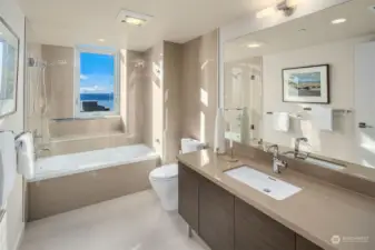 The guest bath features more western views from the full tub/shower enclosed in glass.