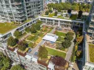 Birds-eye view of the lush open-air park.