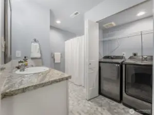 Lower Level Bathroom