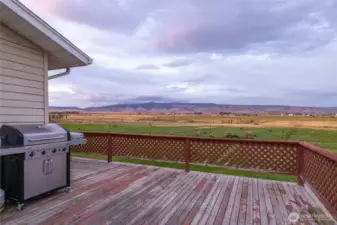 Endless opportunities with this 96-acre ranch located just outside of Ellensburg. The property includes a 3-bedroom, 2-bath, 2,132 sq. ft. home and 79 irrigable KRD acres producing high-quality alfalfa and orchard grass. Additional features include a fruit orchard, pond, hay barn, cedar dry-cabin with power/heat and large shop,