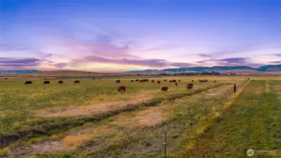 Plenty of acreage for recreation, hunting, farming, building etc.