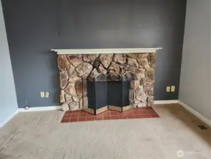 The fire place we were told it needed a new liner.