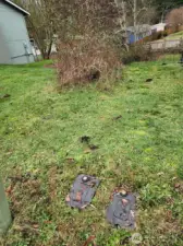 Water meters and survey marker. The brush is like a buffer.