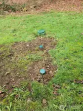 Septic clean out lids. 3 bedroom system in the back yard.