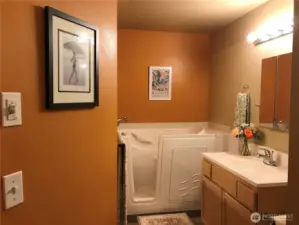 Master bath with walk-in bathtub