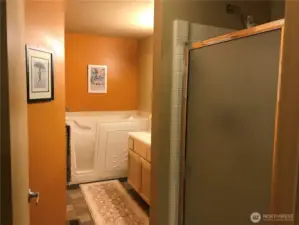 Separate shower in master bathroom