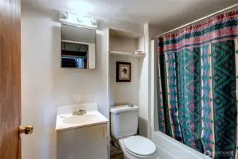 Lower level bathroom.