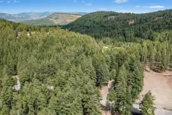 Going to Love it Here