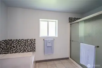Bath and double shower