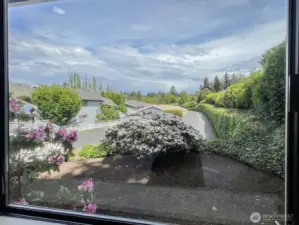 View from Second Bedroom or Office Space