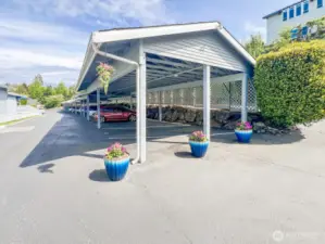 Carport Parking