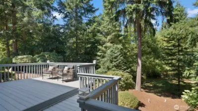 Not a neighbor in sight - just complete, awe-inspiring privacy that's a dream come true.