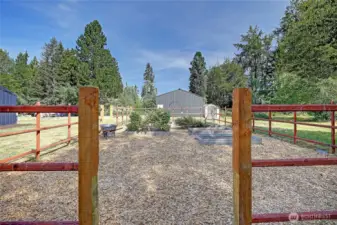 The garden is amazing and comes with blueberries, raspberries and a cherry plum tree!